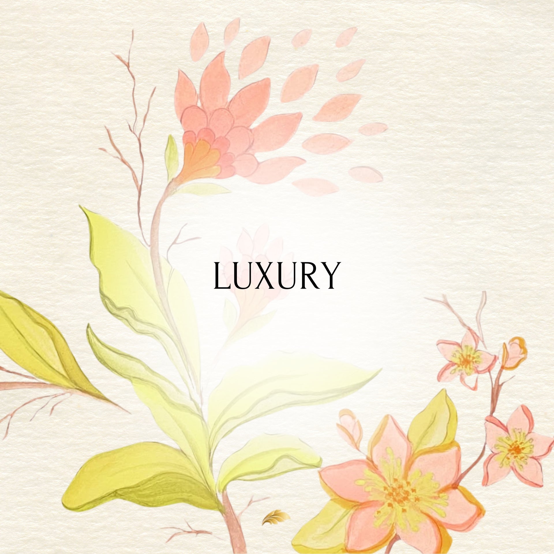 Updated-about-khokee-gallery-image-banner-03
