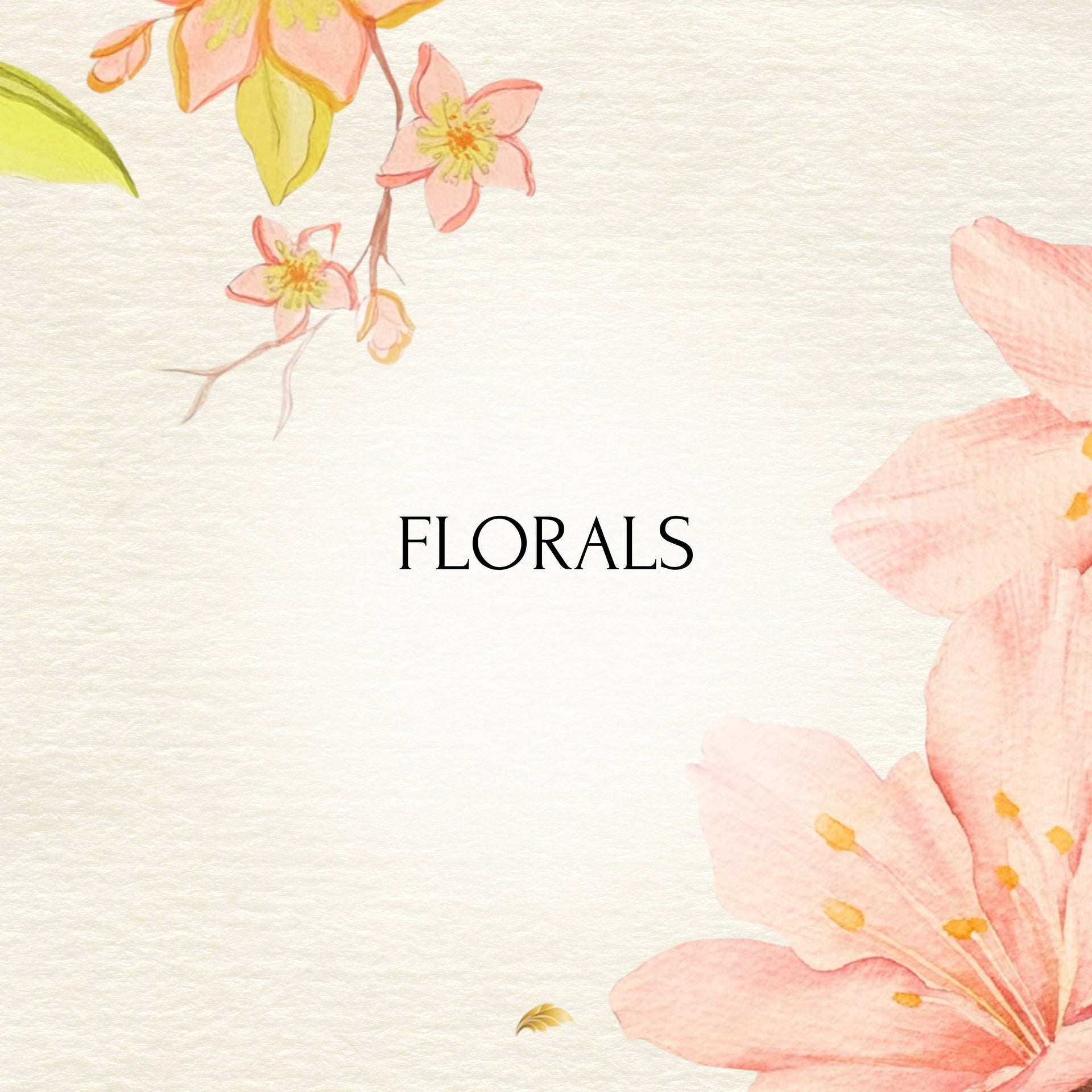 Updated-about-khokee-gallery-image-banner-05